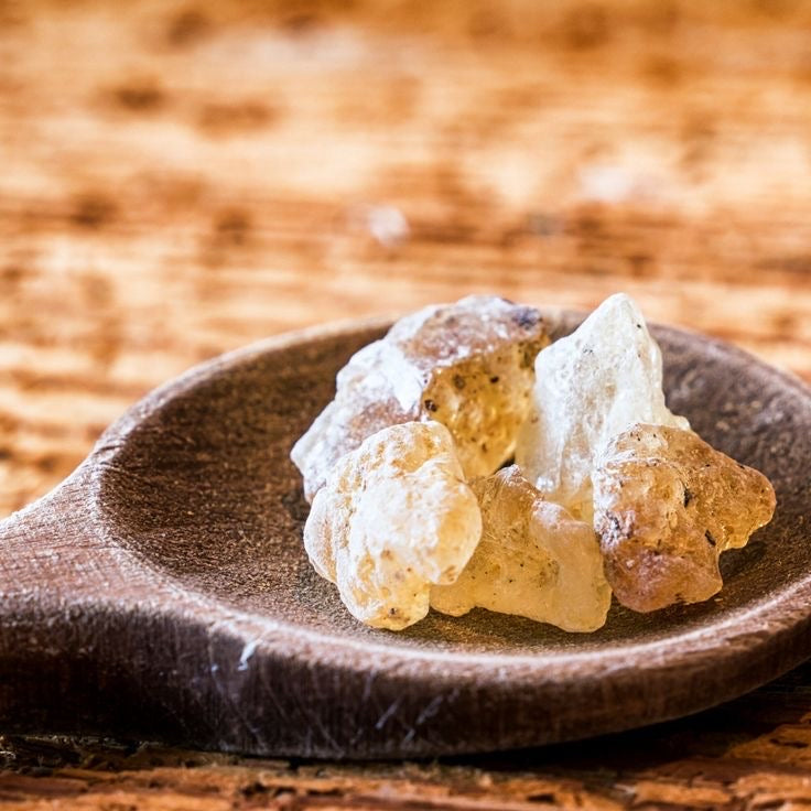 HINOKI and COPAL